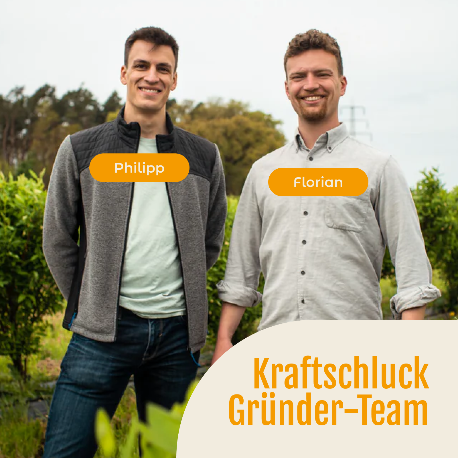 KAROTTE, RHABARBER, INGWER