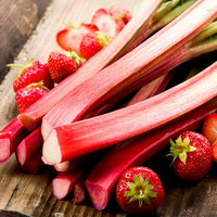 Rhabarber